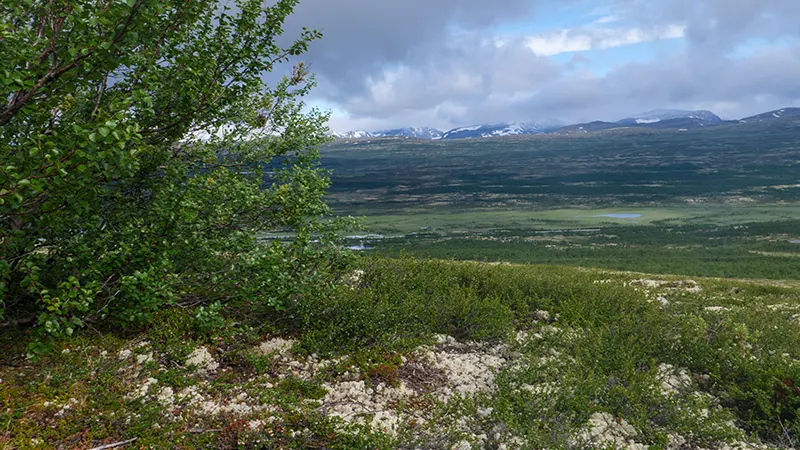 Chugach GTS 2