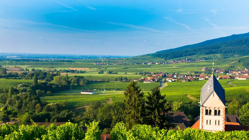 Image of the rolling green hills in Alsace, France