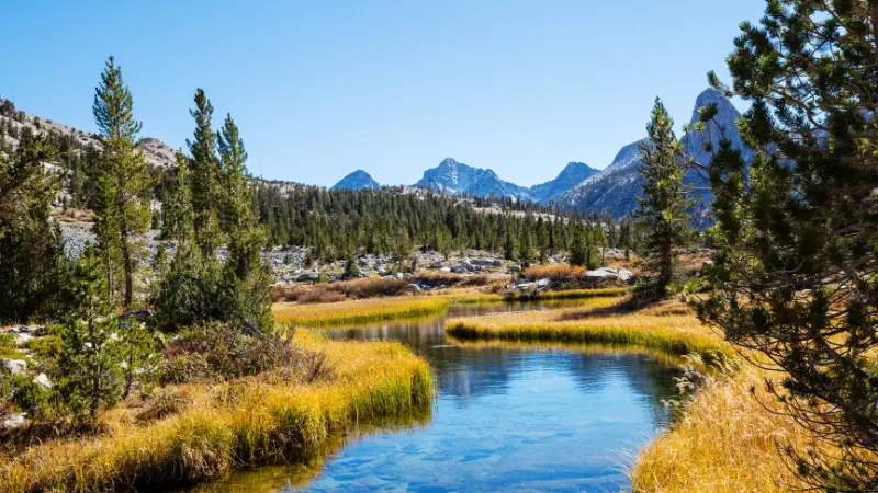 nevada landscape