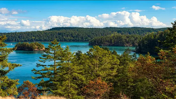 Scenic view from top of Deception Pass Washington