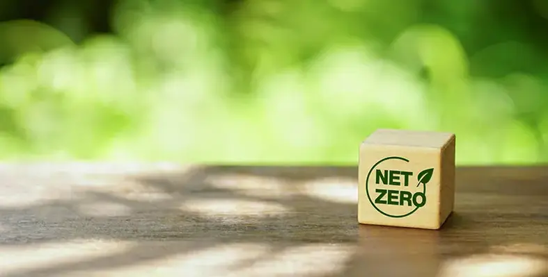 a_wooden_block_with_net_zero_written_on_it