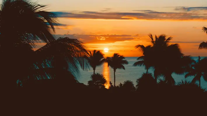 caribbean