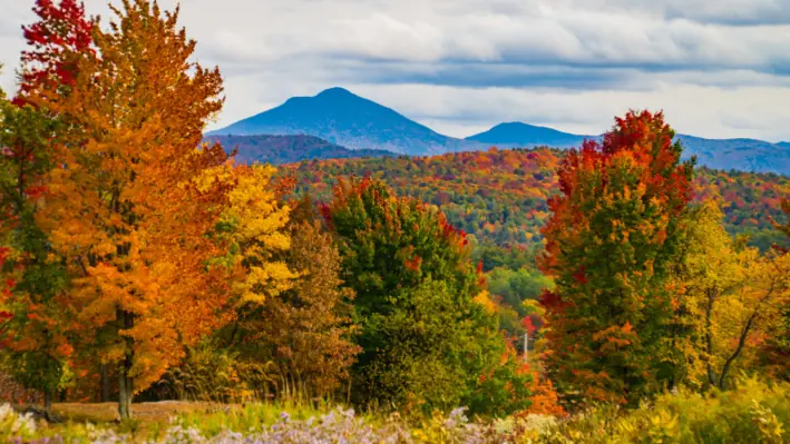 vermont