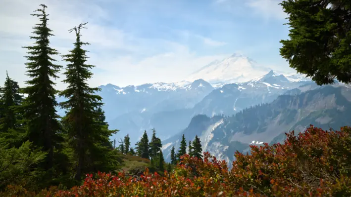 washington state